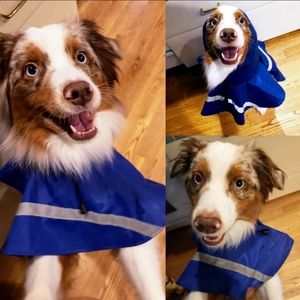 Dog rain coat with hood and reflector